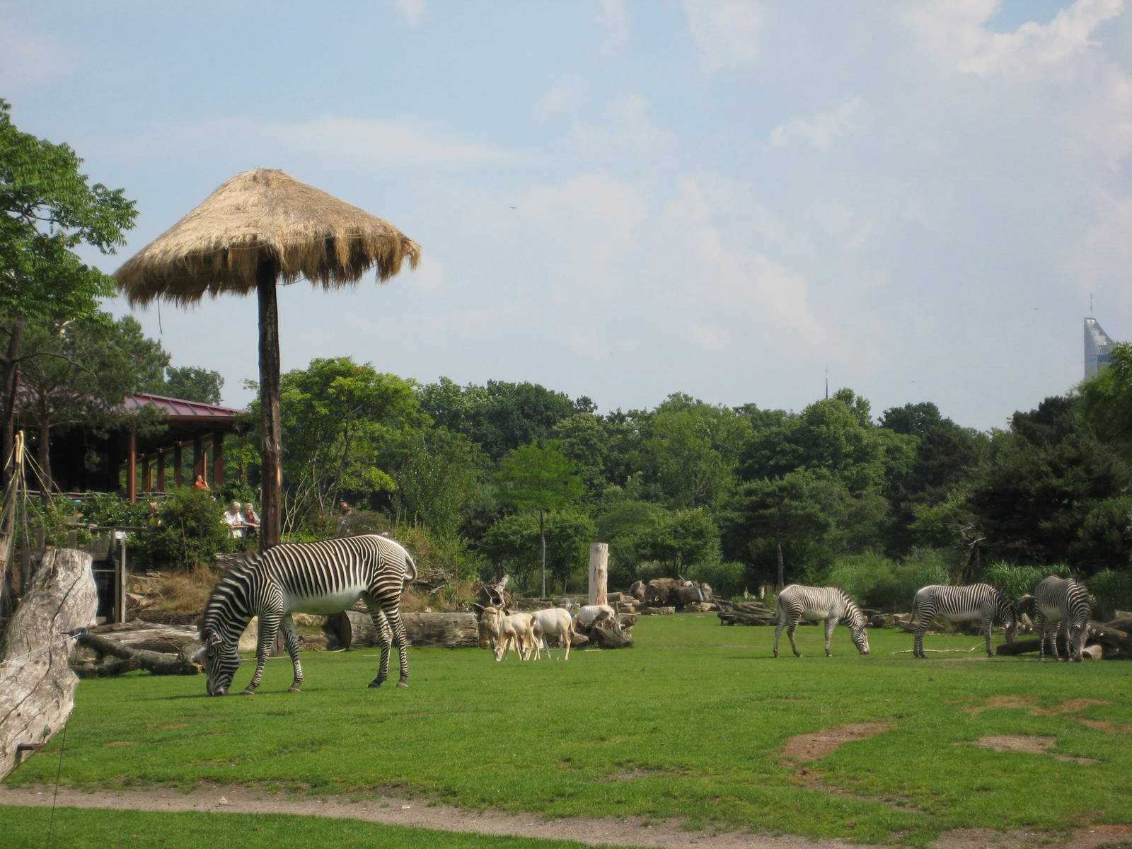 Africa savannah exhibit Leipzig Zoo