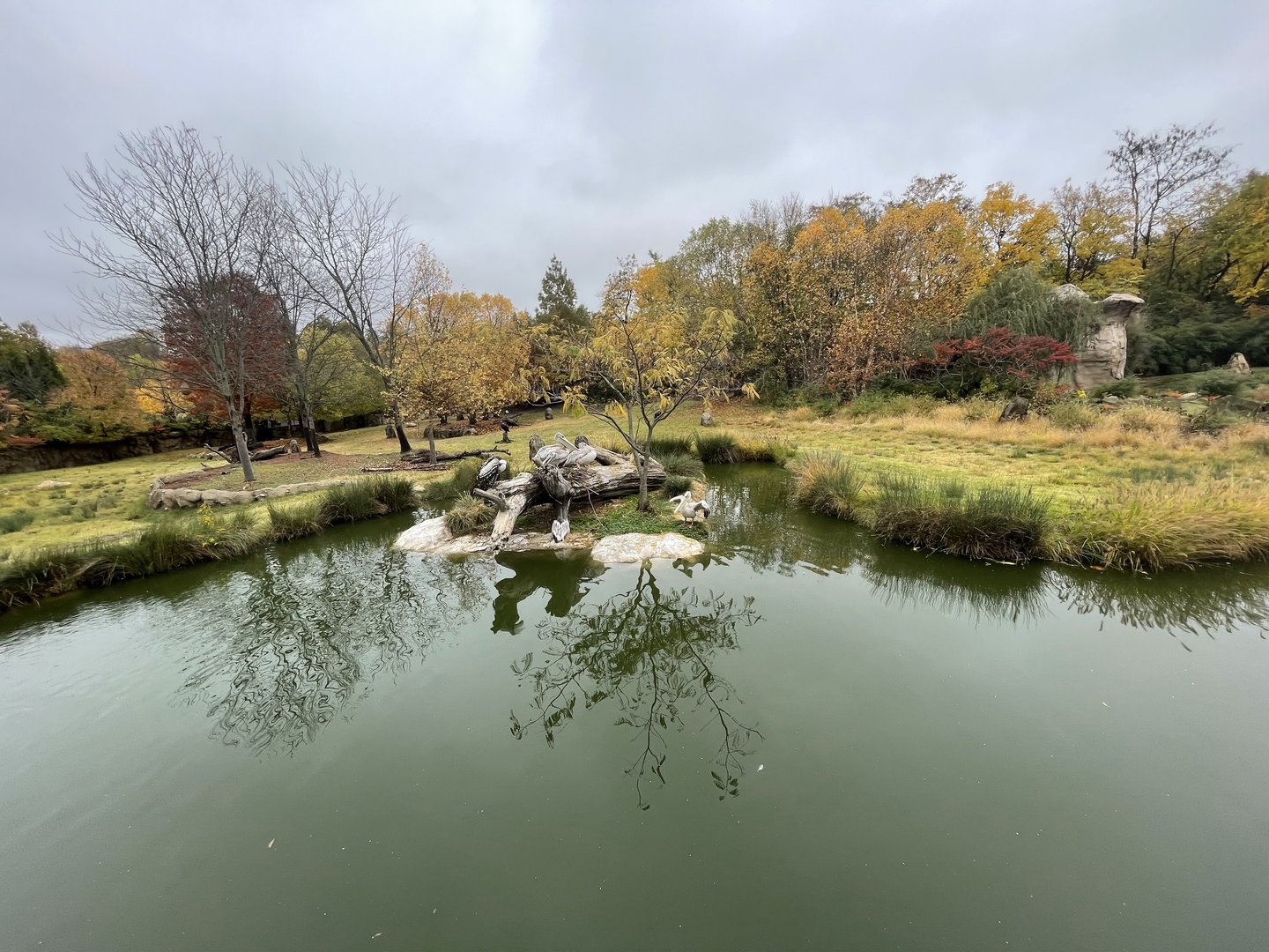 Africa! Savannah Exhibit