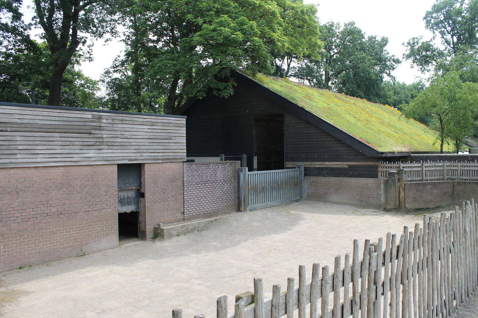 Africa - Savannah stables and seperation