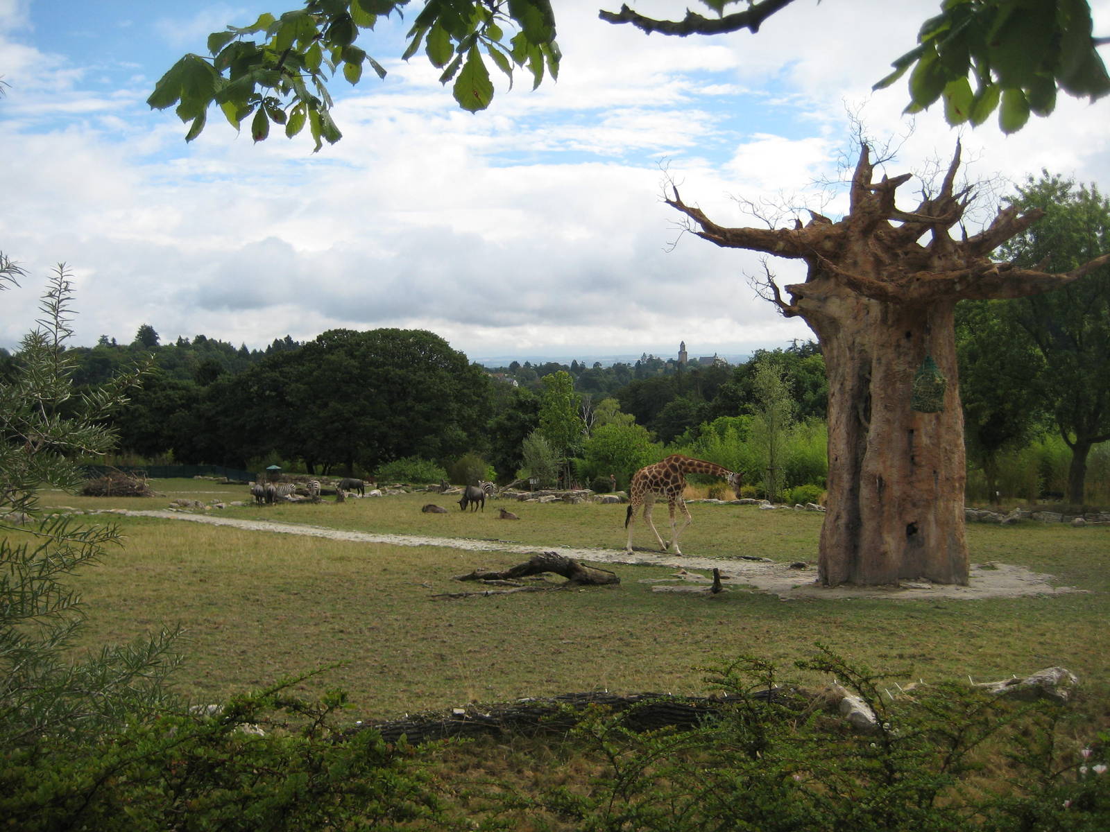 Africa savannah with castle