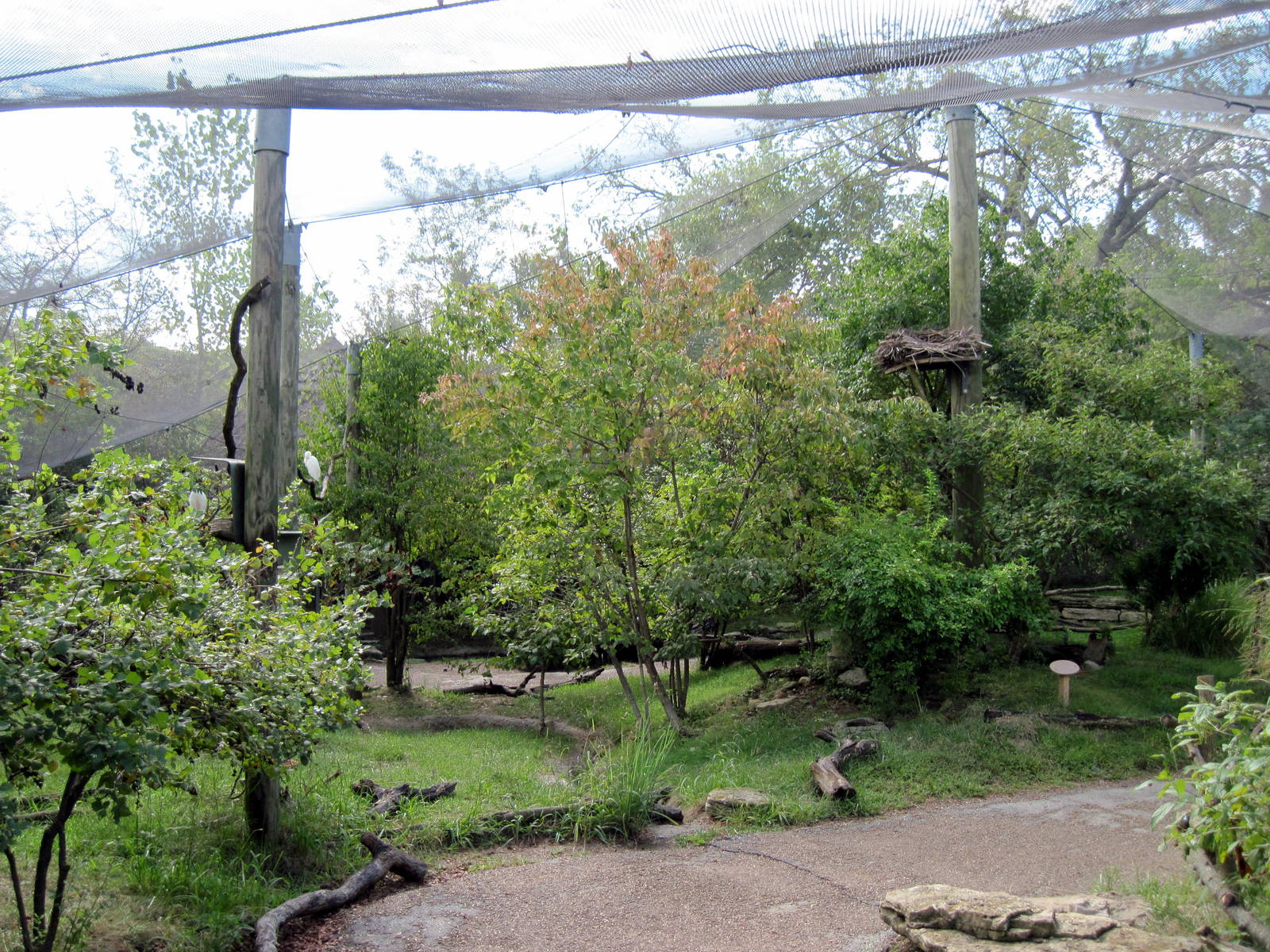 Africa-Scrubland Aviary