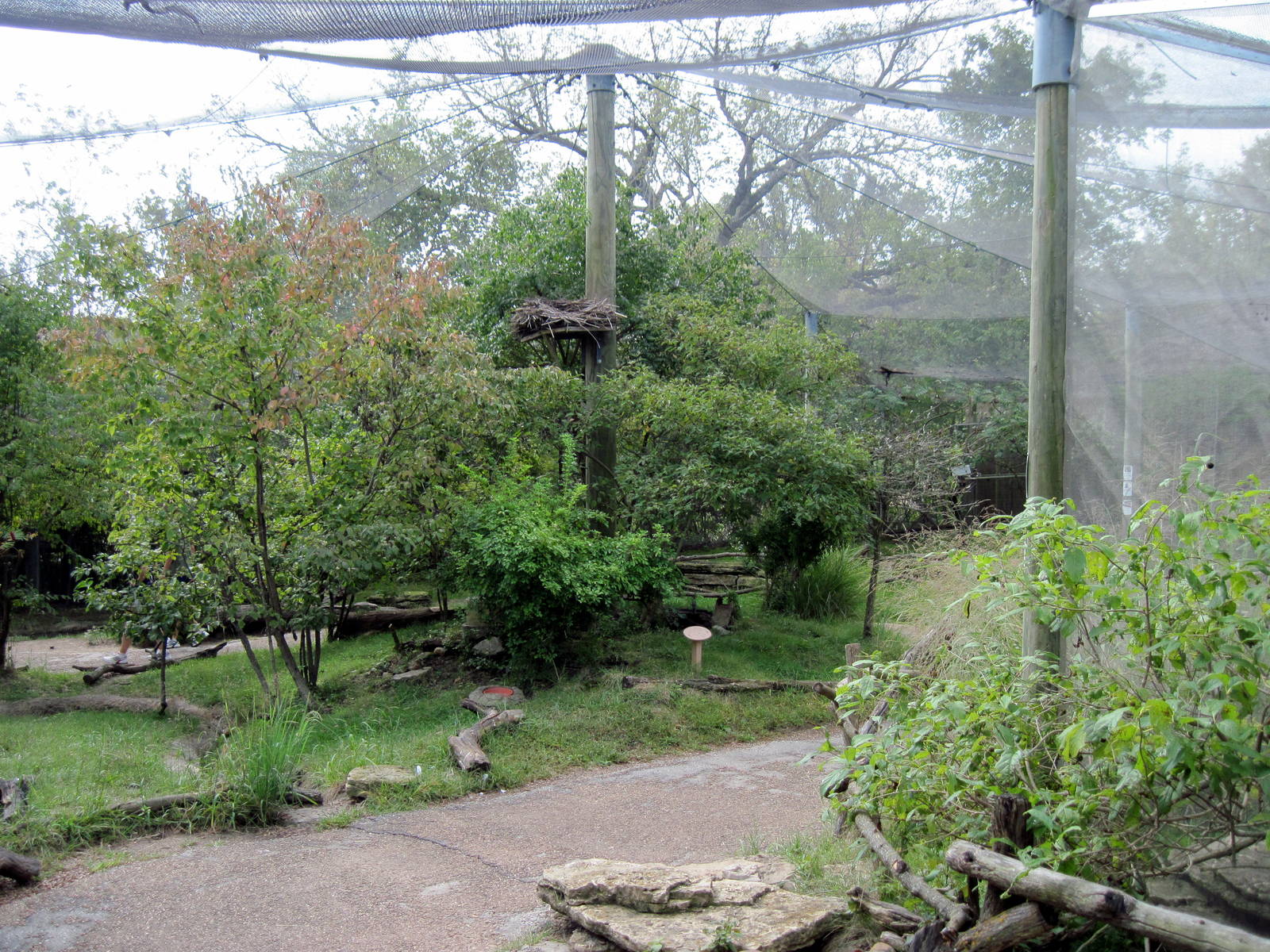 Africa-Scrubland Aviary