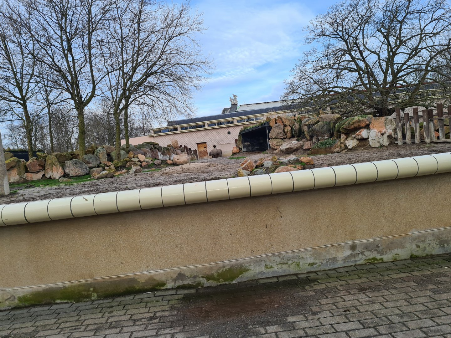 Africa - Second Eastern Black rhinoceros enclosure