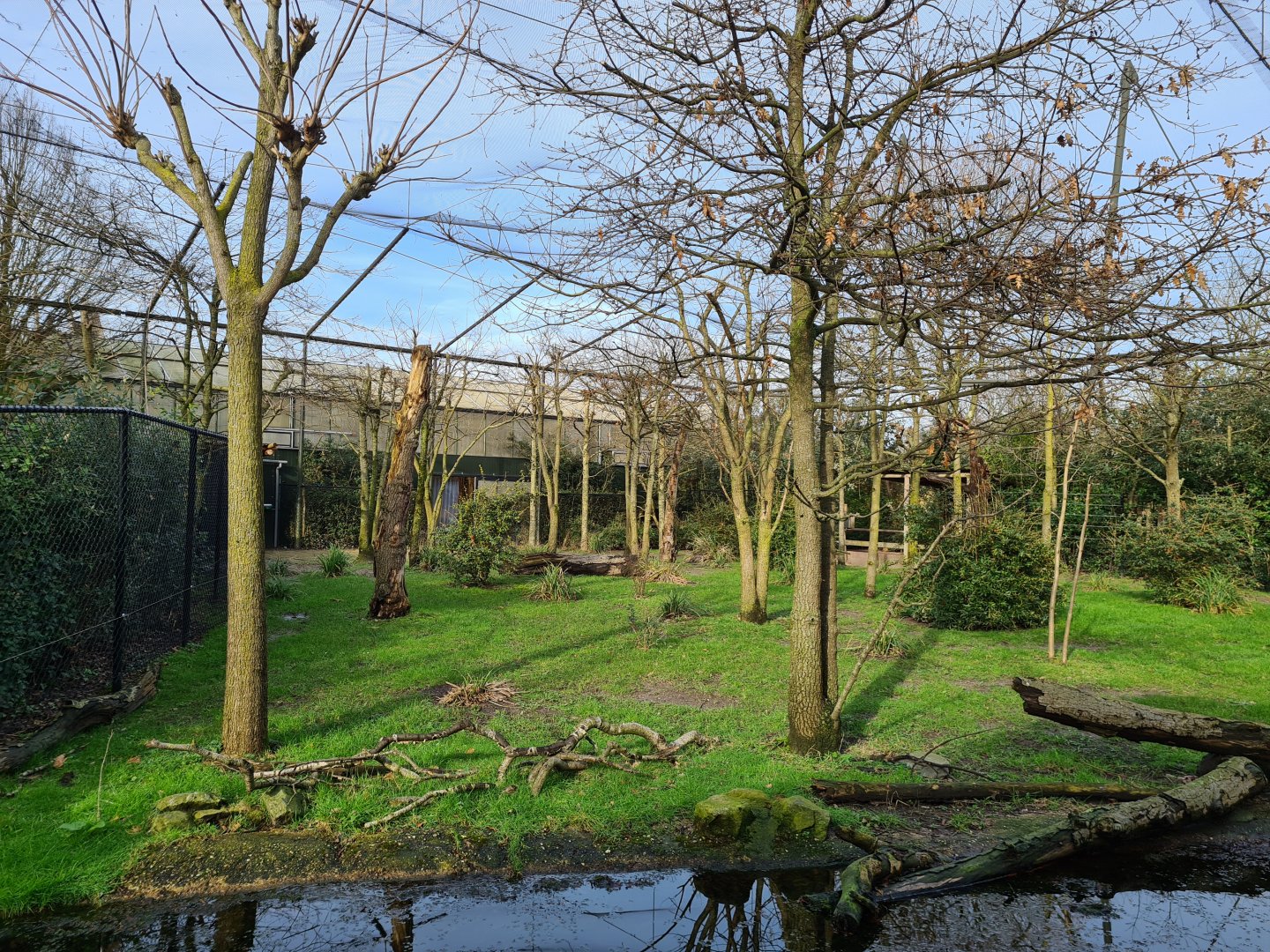 Africa - Second Okapi yard in Okapi aviary
