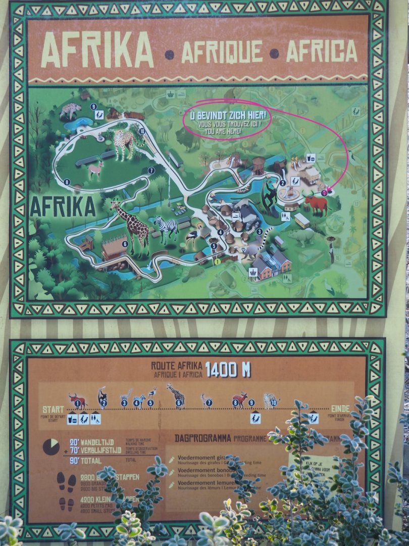 Africa section map (Jan 20th, 2019)