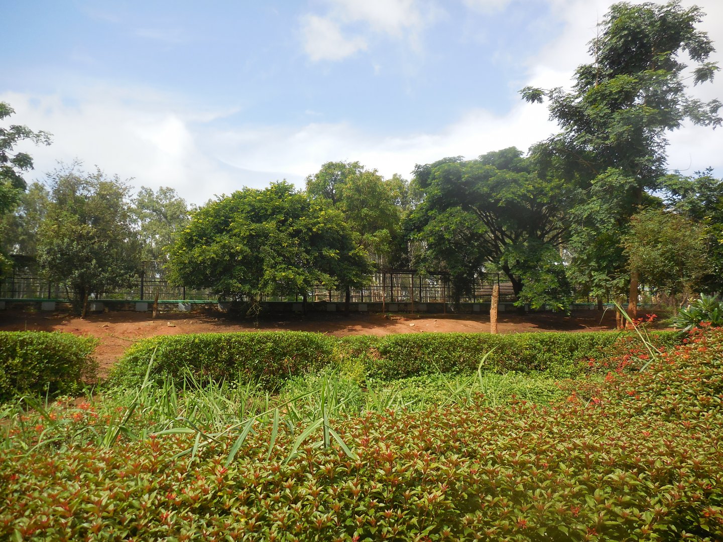 Africa Section - Zebra Enclosure Southern Half