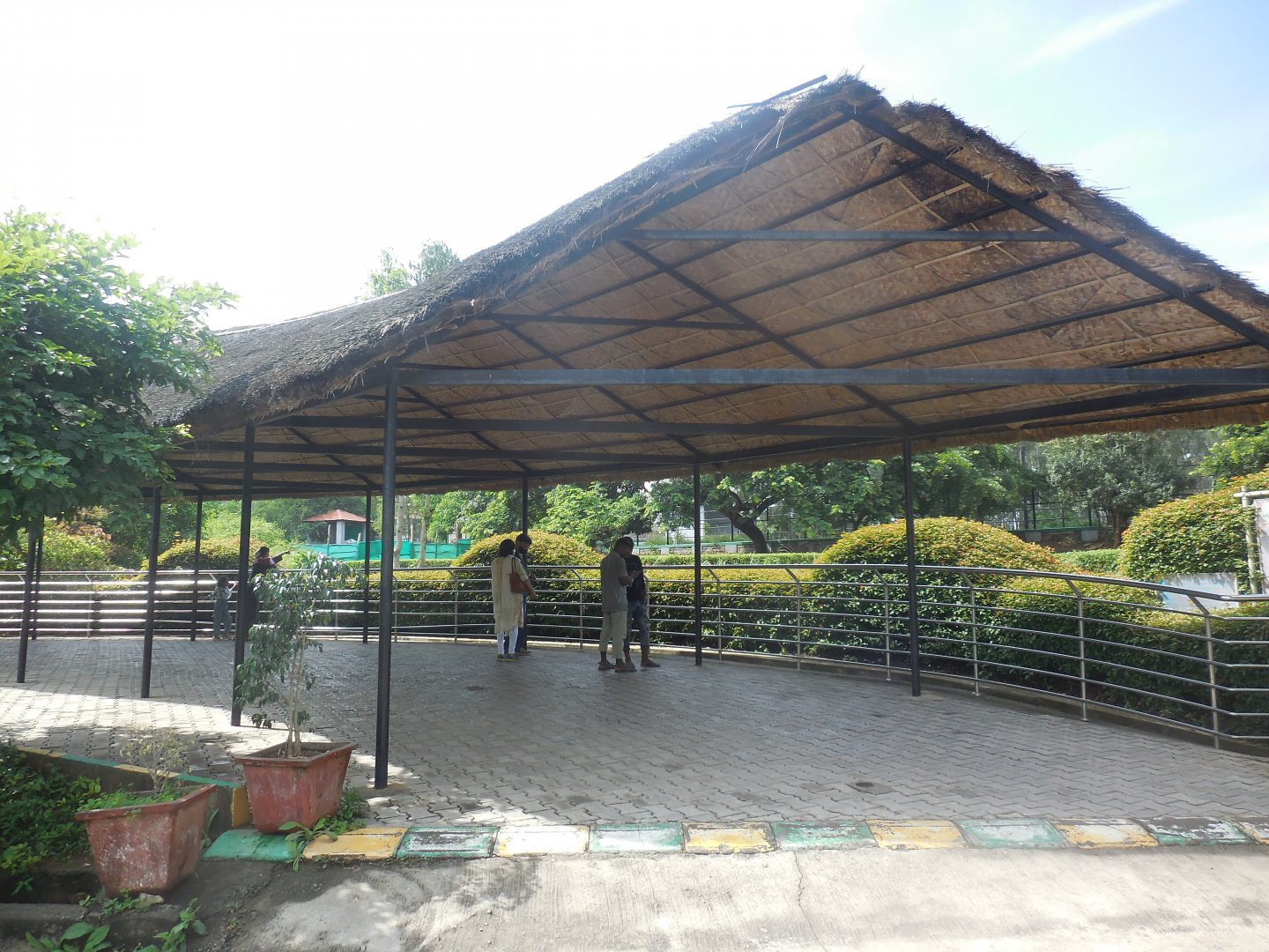Africa Section - Zebra Viewing