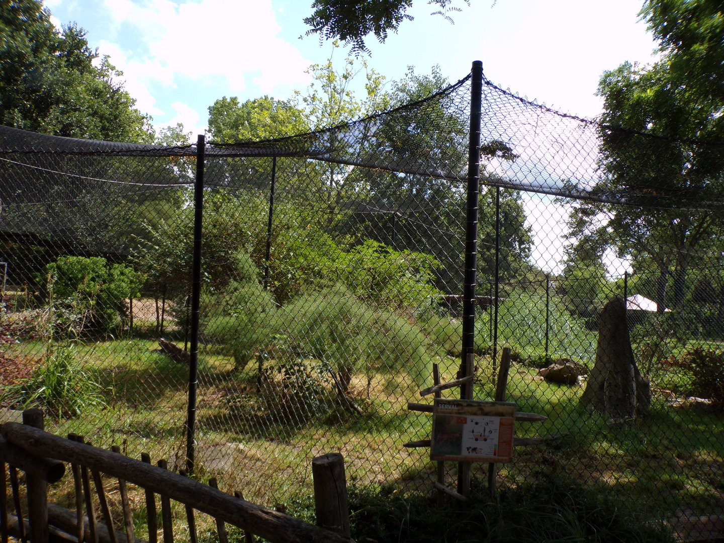 Africa- Serval enclosure 13.7.23