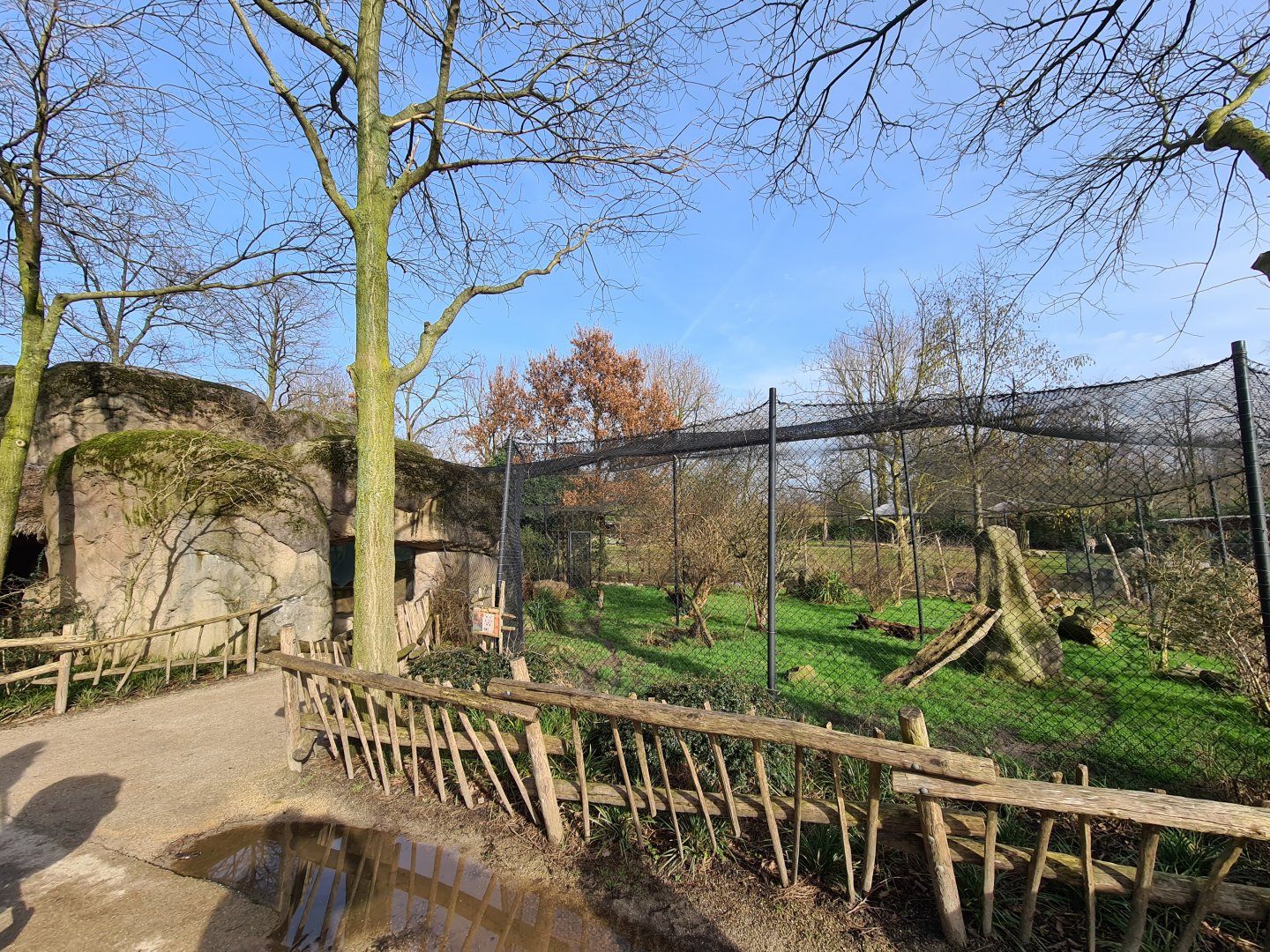 Africa - Serval enclosure at the Kopje