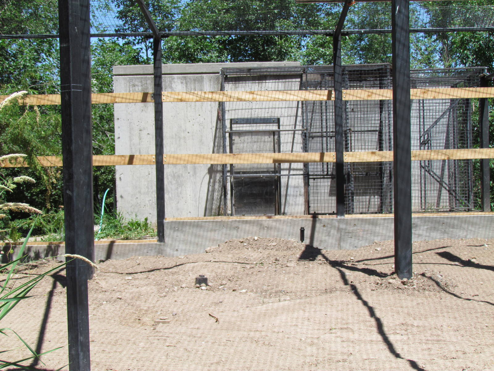 Africa - Serval Exhibit (under renovation)