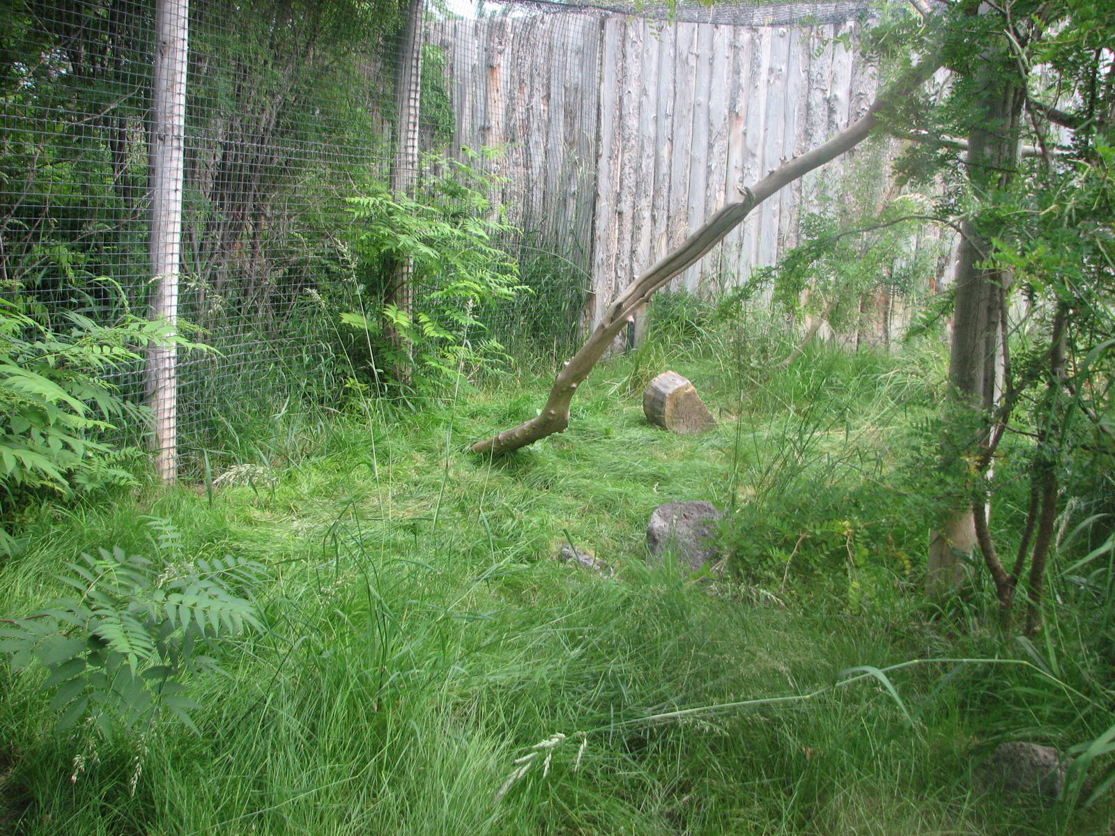 Africa - Serval Exhibit