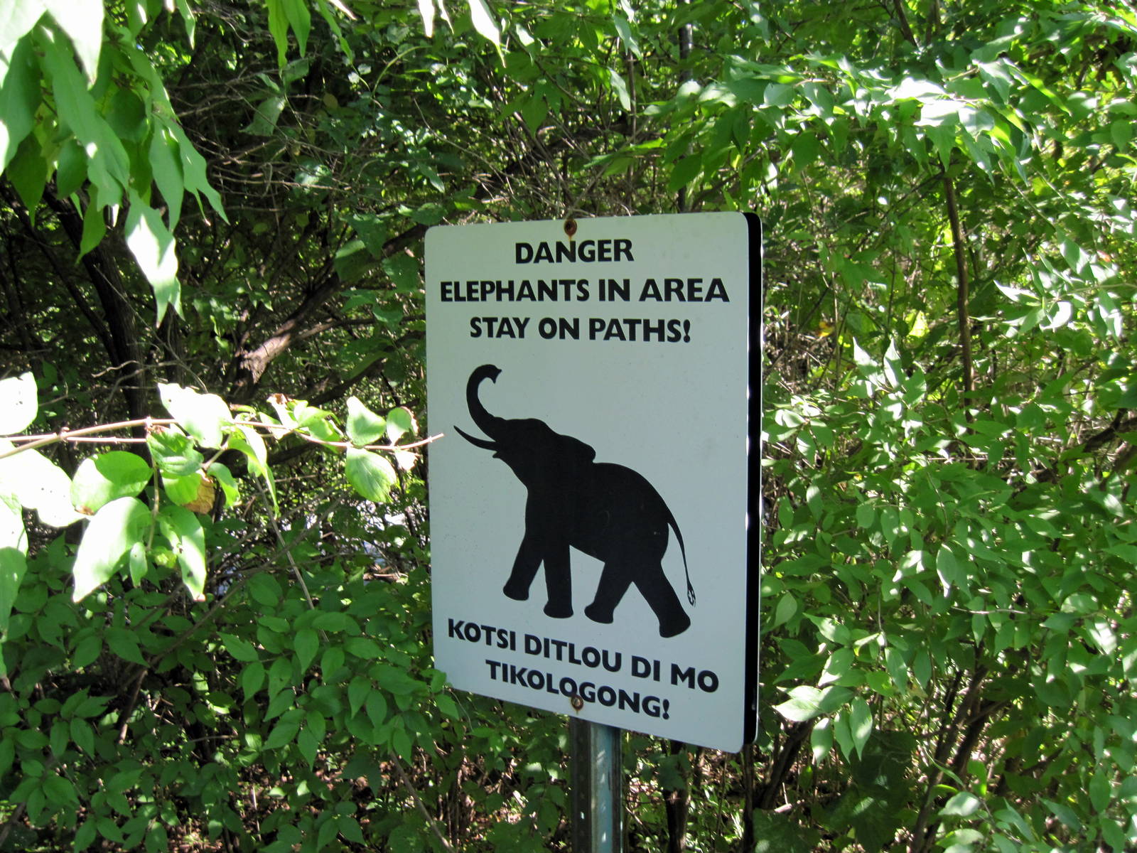 Africa-Signage