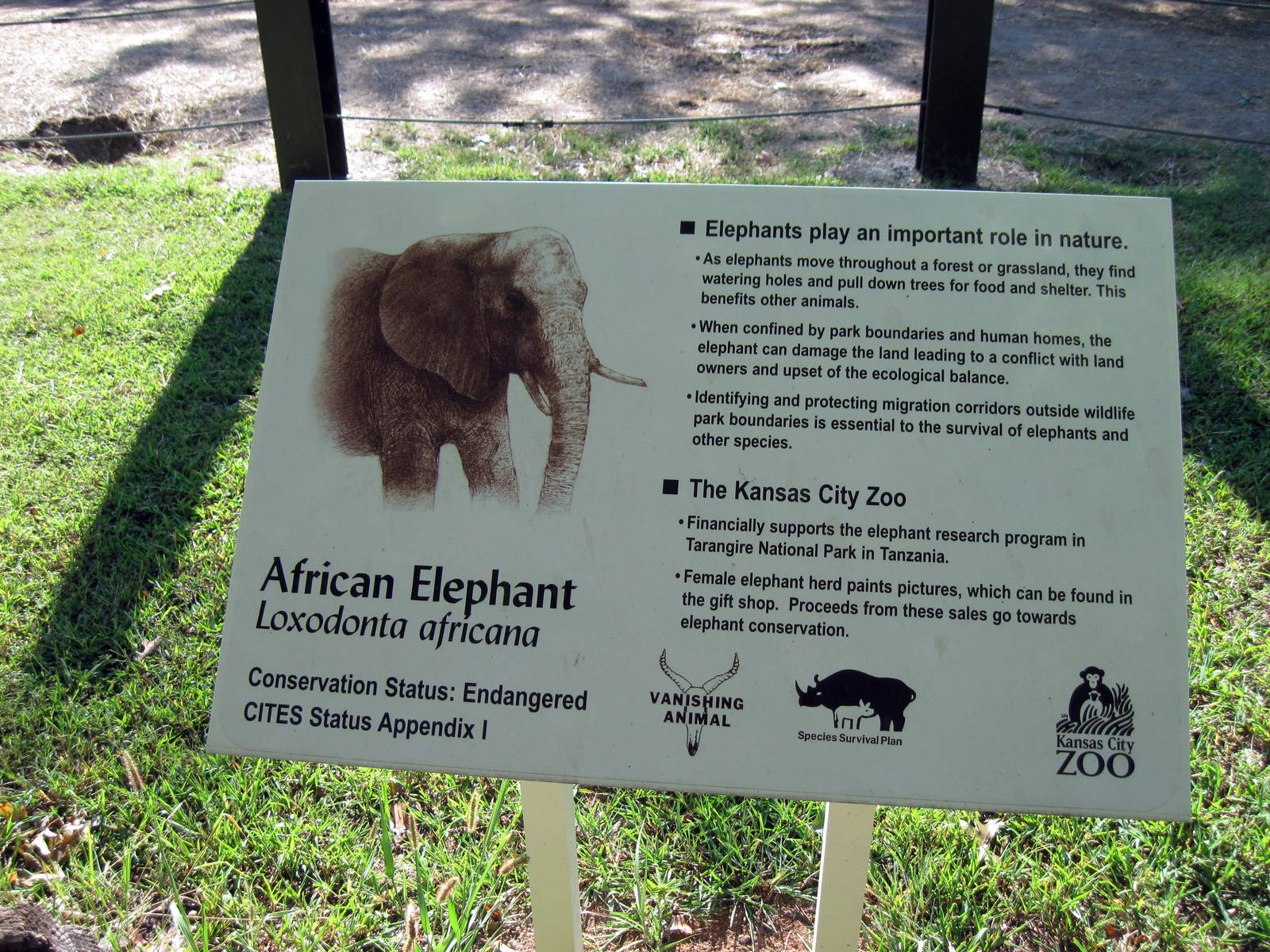 Africa-Signage