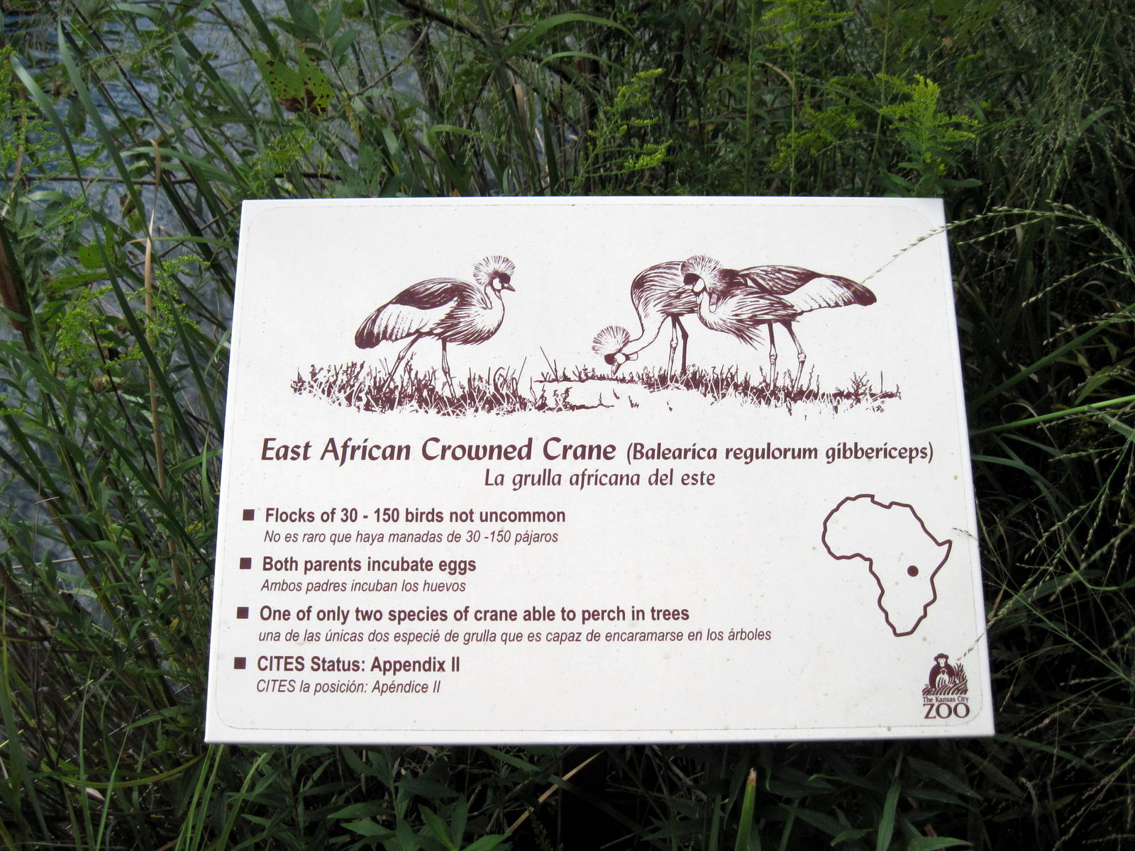 Africa-Signage