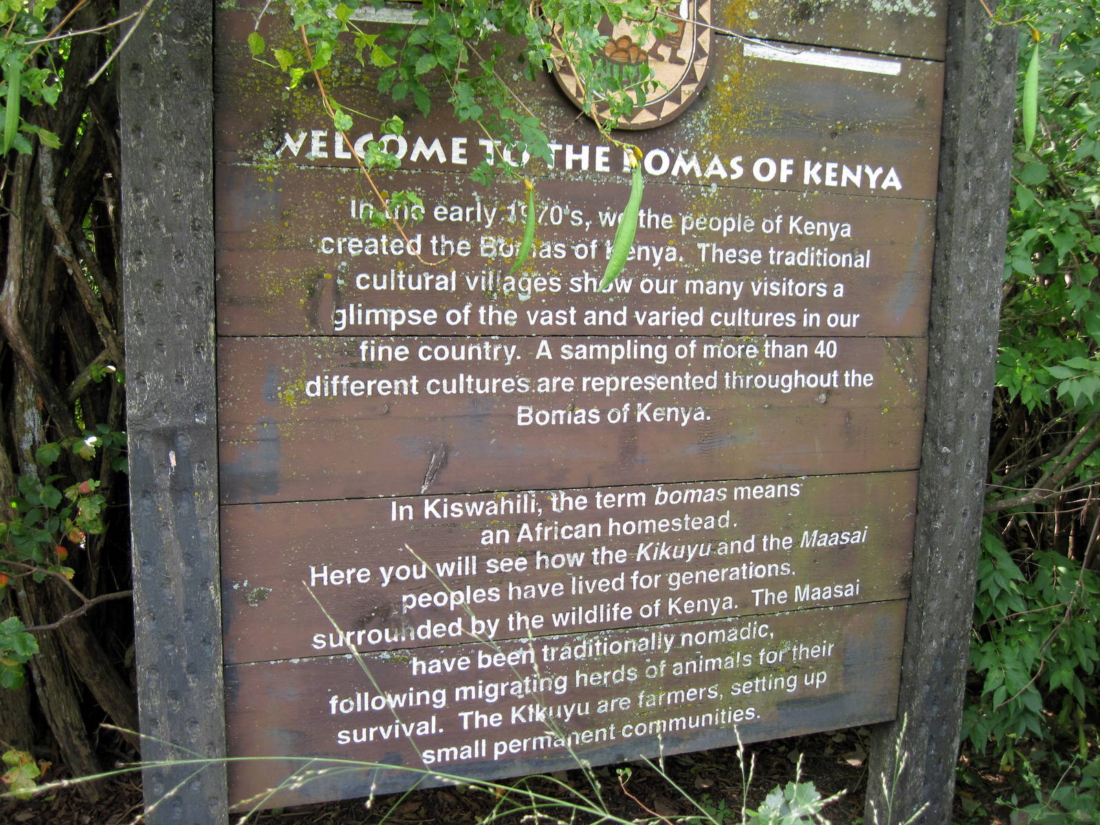 Africa-Signage