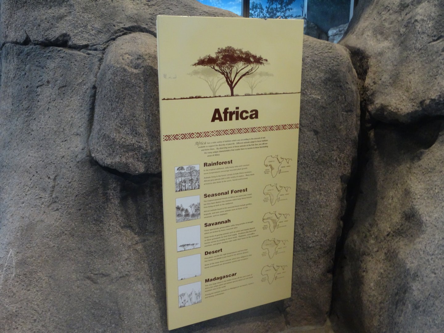 Africa Signage