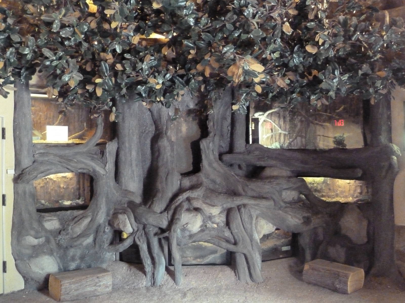 Africa! - Small Animal Terrariums