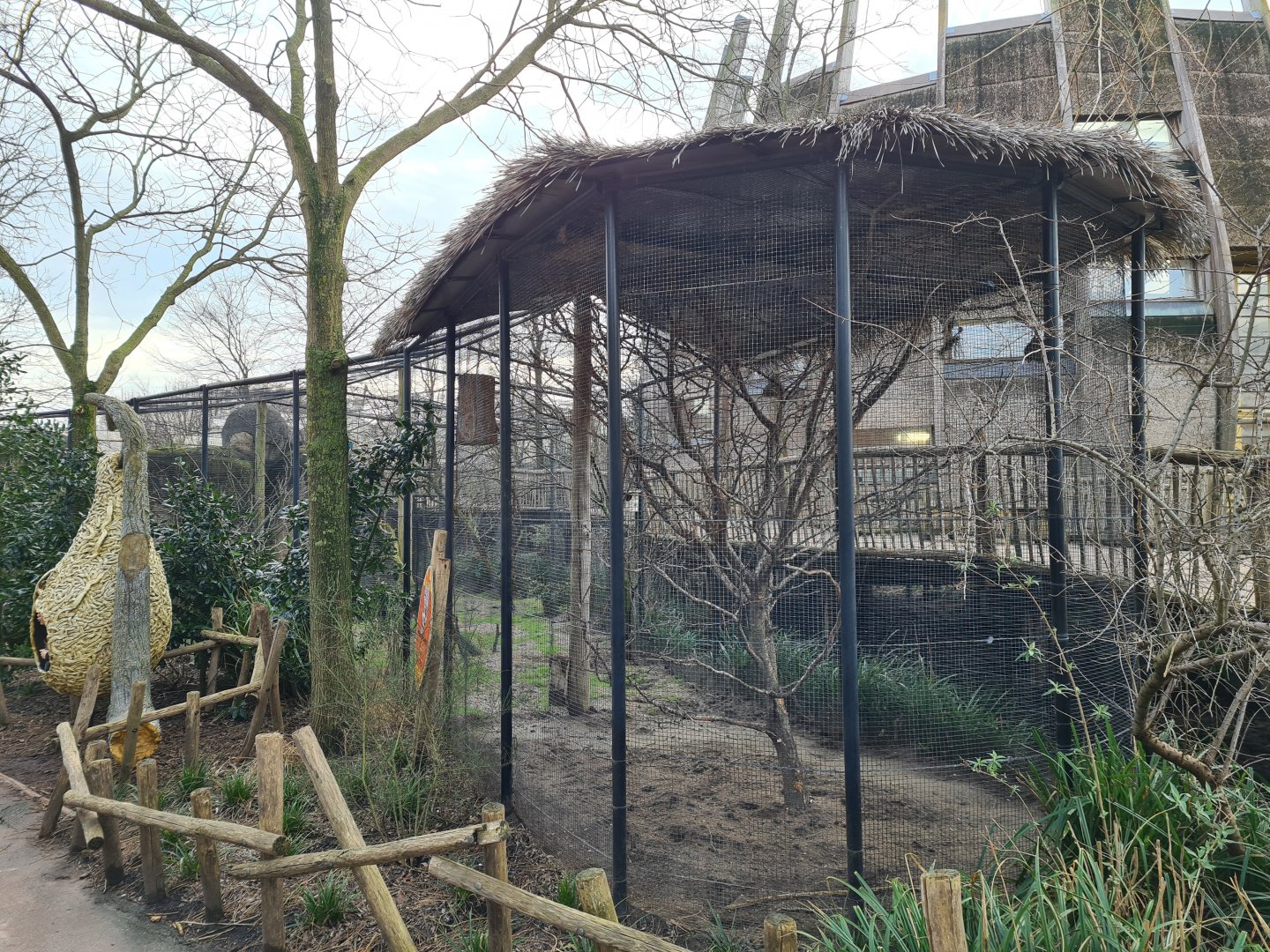 Africa - Smaller Kopje aviary