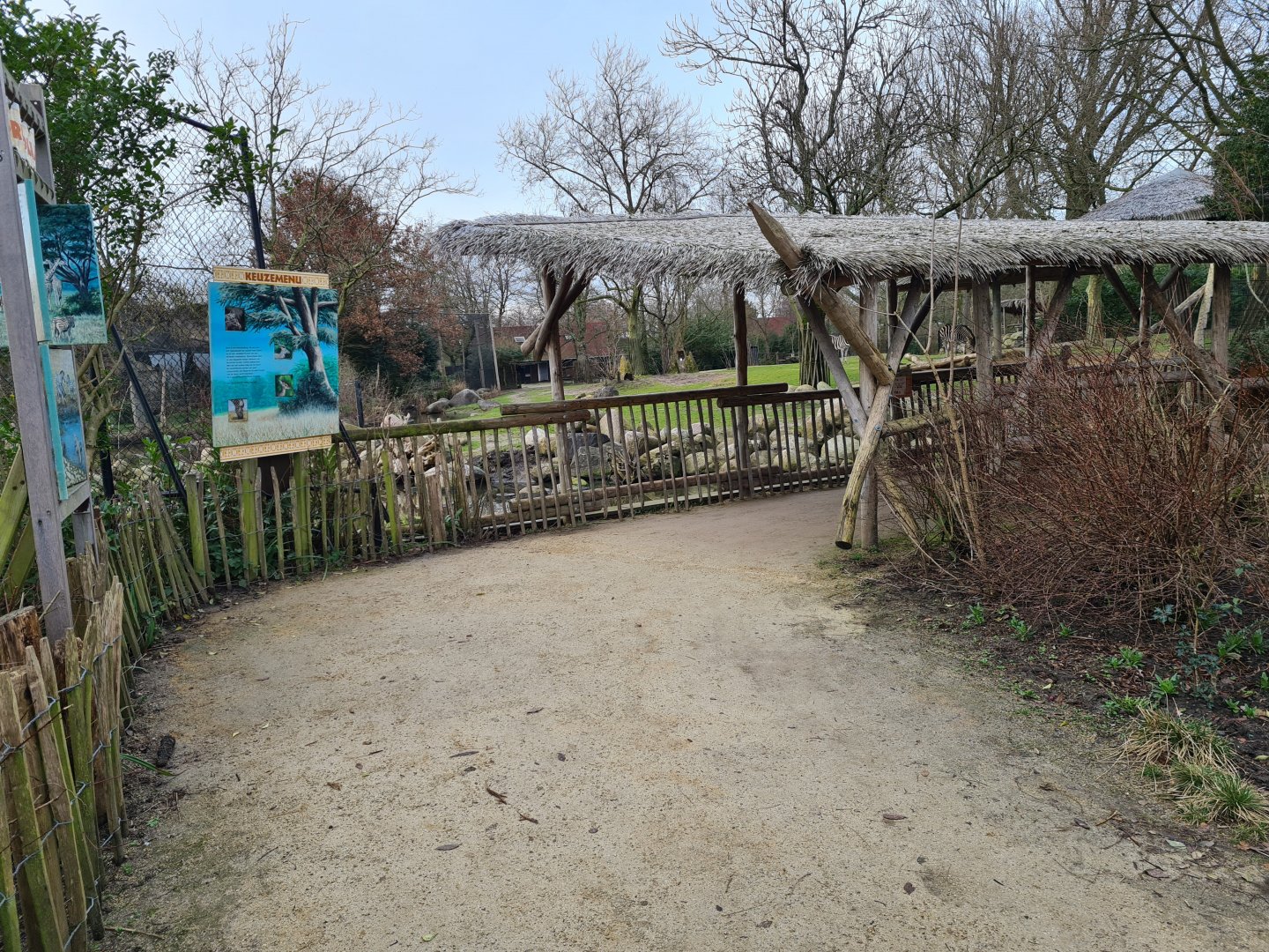 Africa - Smaller Savannah yard