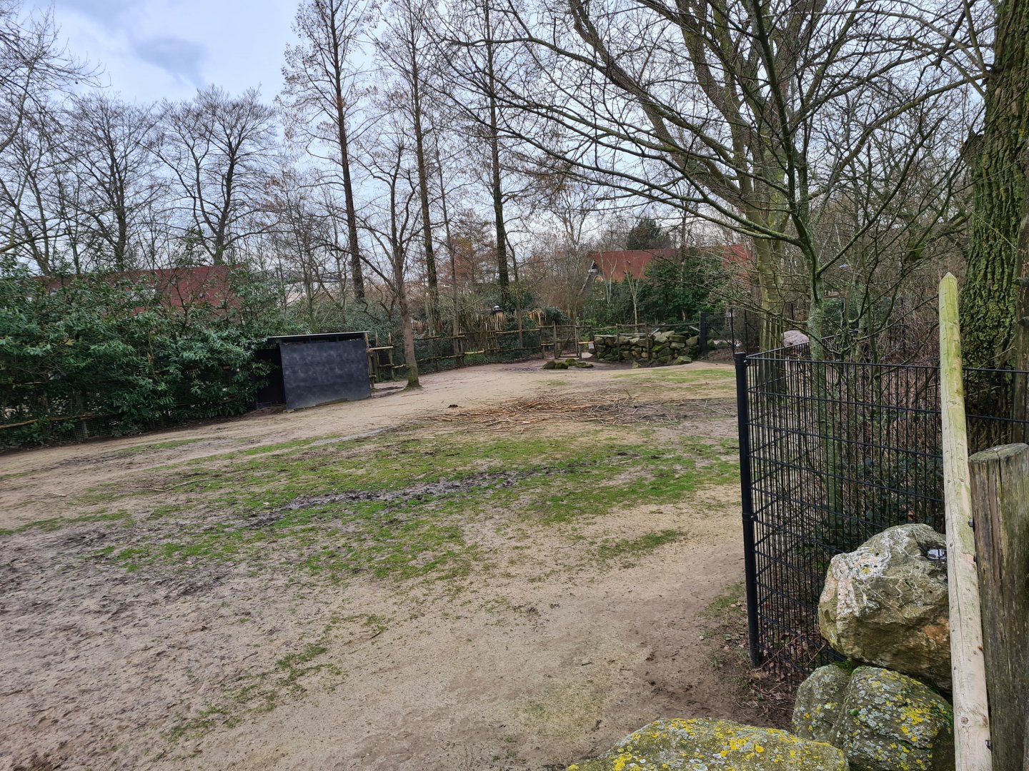 Africa - Smaller Savannah yard