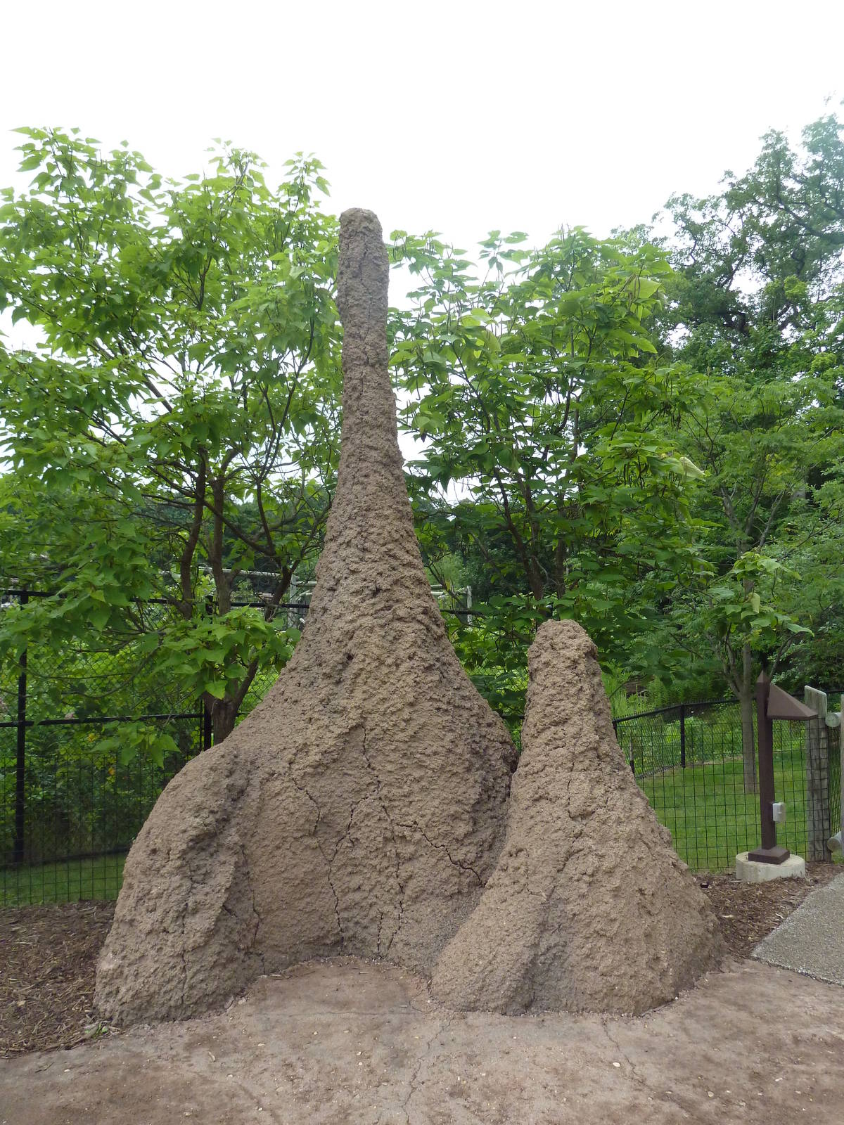 Africa! - Termite Mound