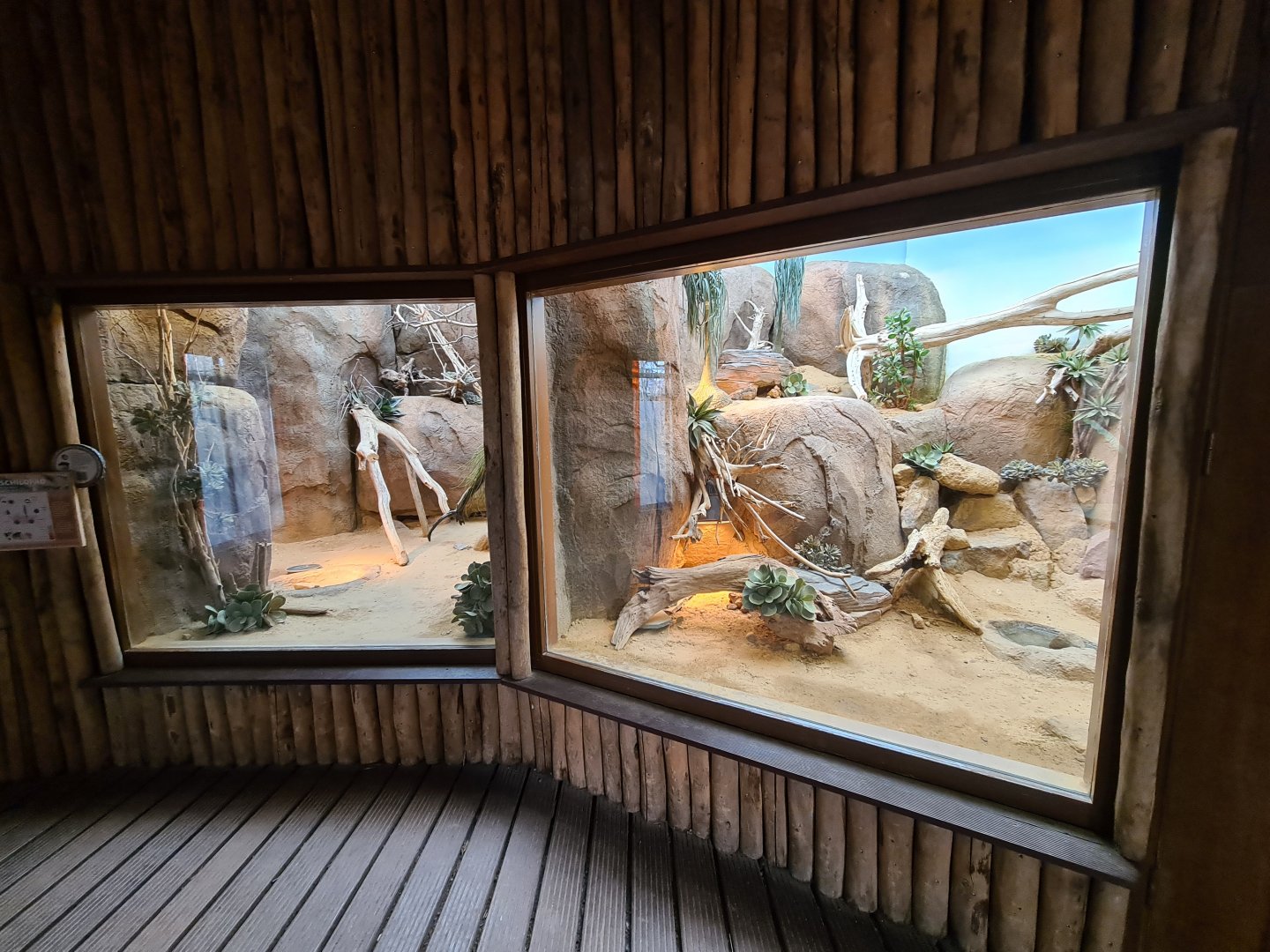 Africa - Terrariums in Crocodile river