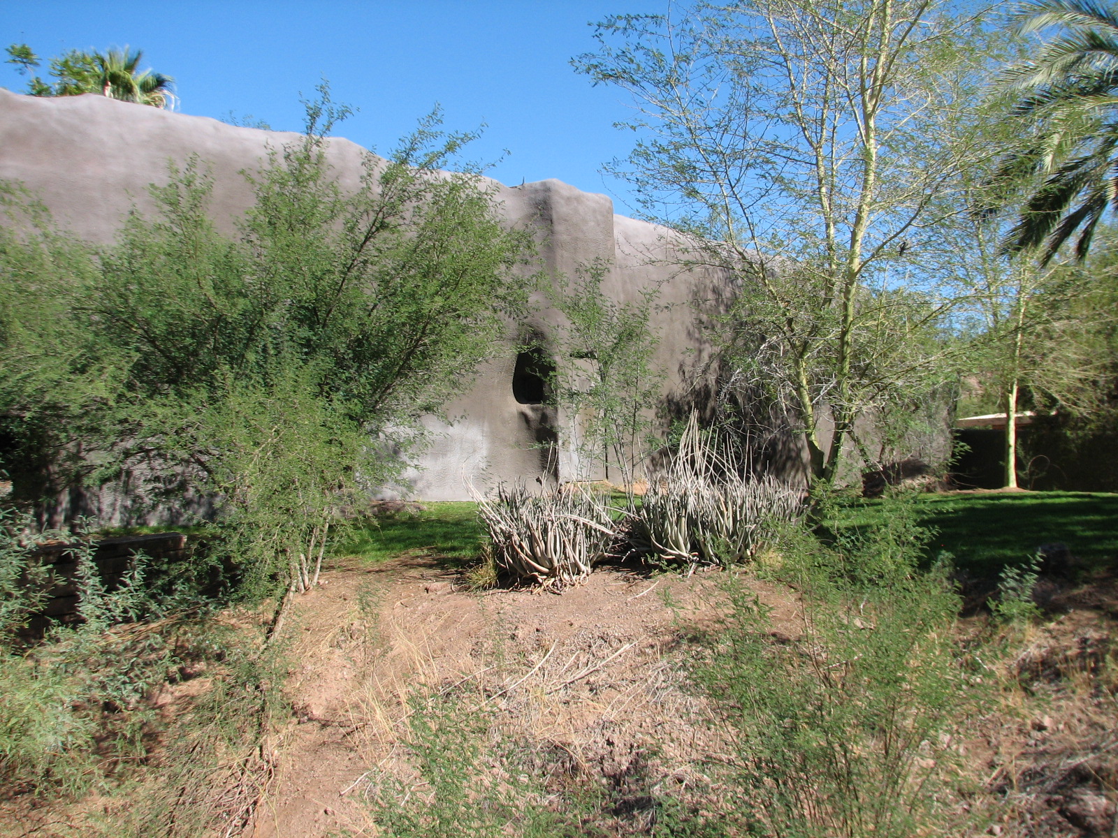 Africa Trail - African Lion Exhibit