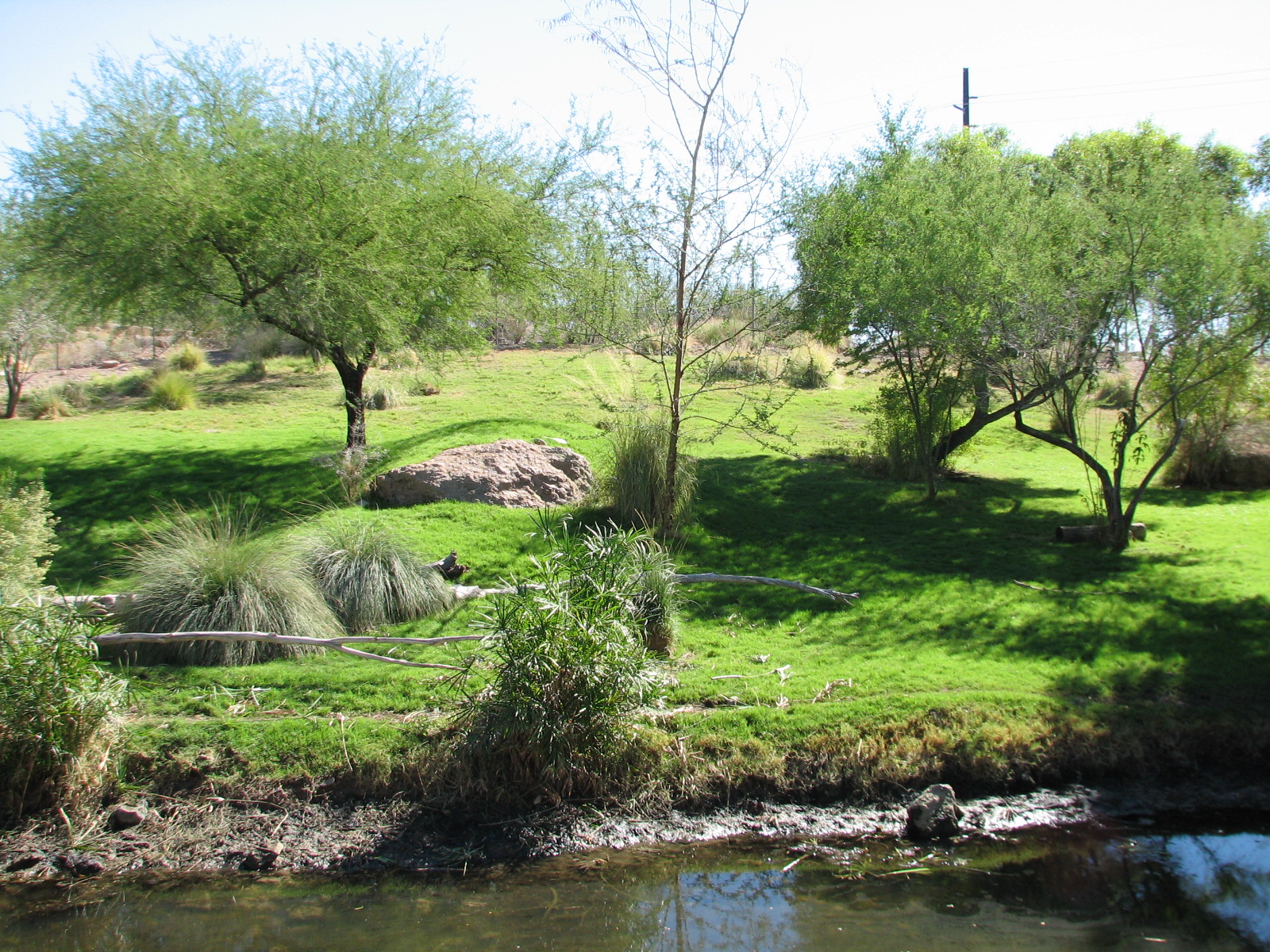 Africa Trail - African Wild Dog Exhibit