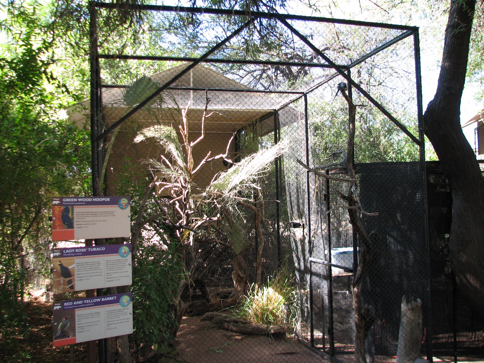 Africa Trail - Aviary