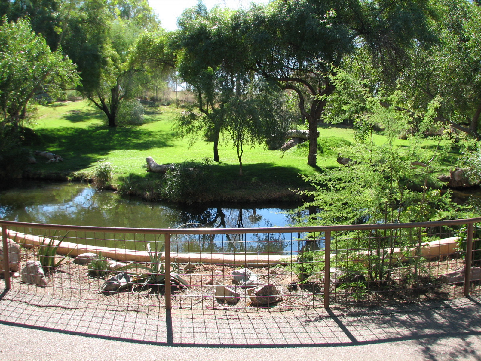 Africa Trail - Cheetah Exhibit