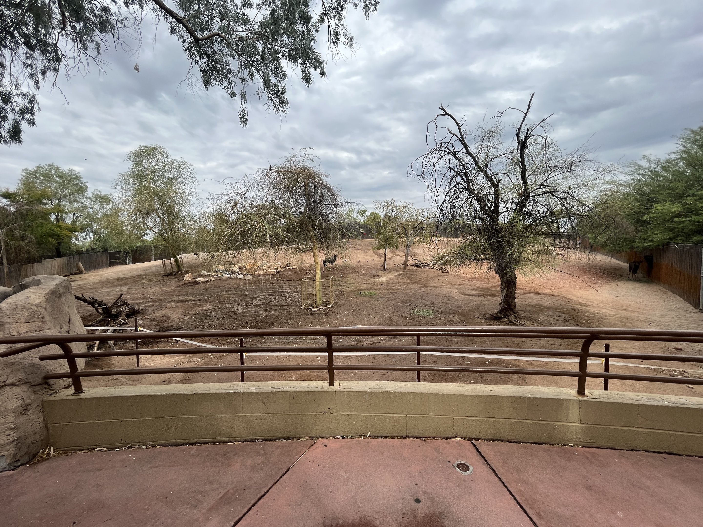 Africa Trail Exhibit (4 species)