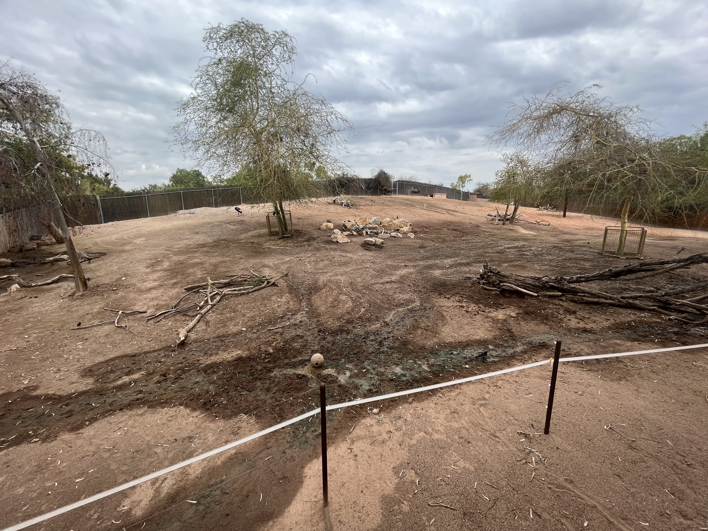 Africa Trail Exhibit (4 species)