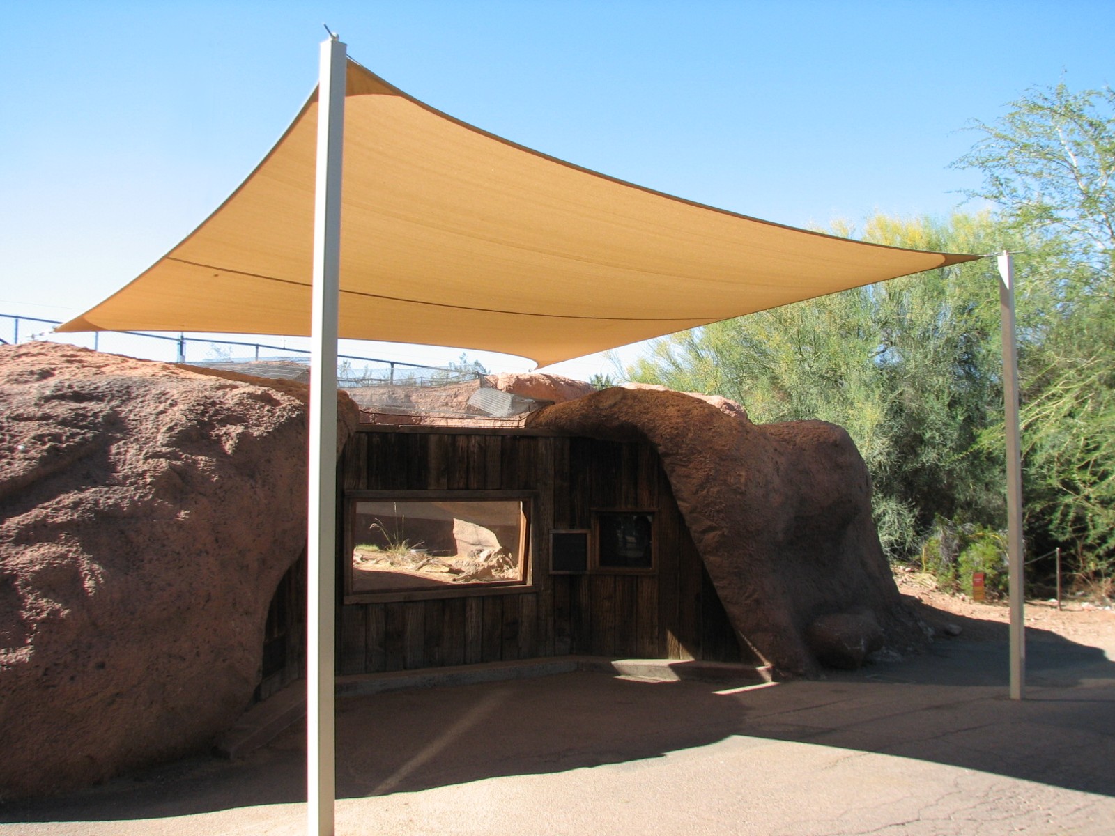 Africa Trail - Fennec Exhibit