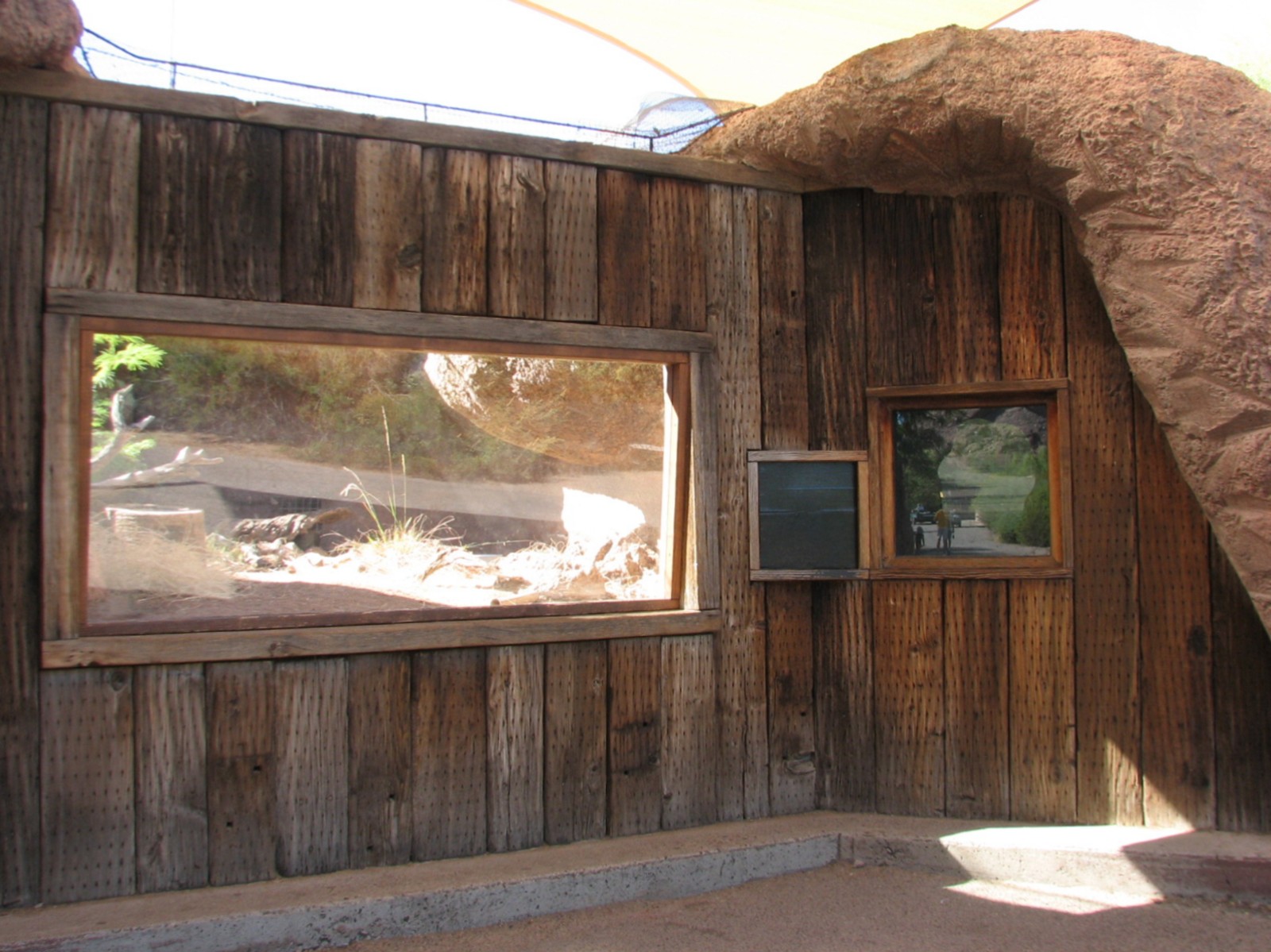 Africa Trail - Fennec Exhibit