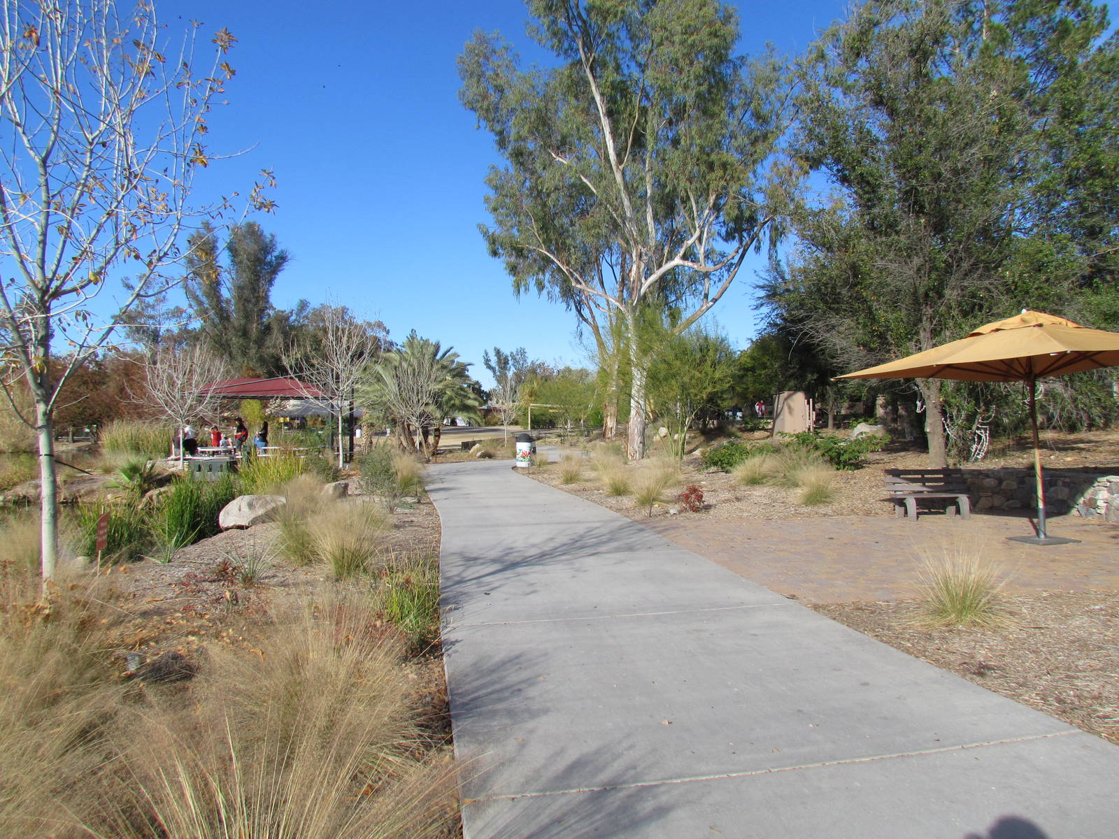 Africa Trail - Lemur Lane