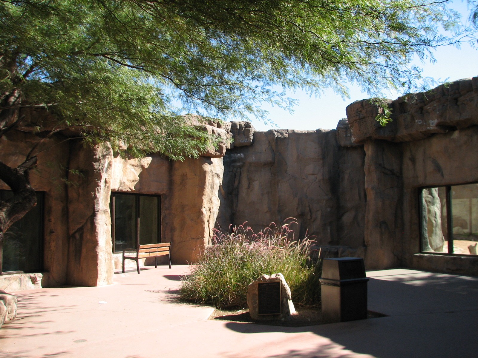 Africa Trail - Mandrill and Baboon Viewing Windows