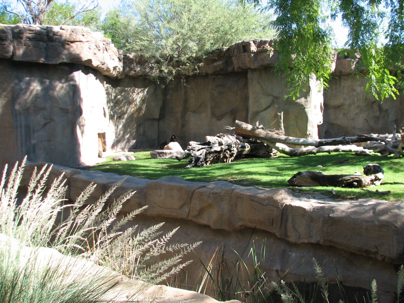 Africa Trail - Mandrill Exhibit
