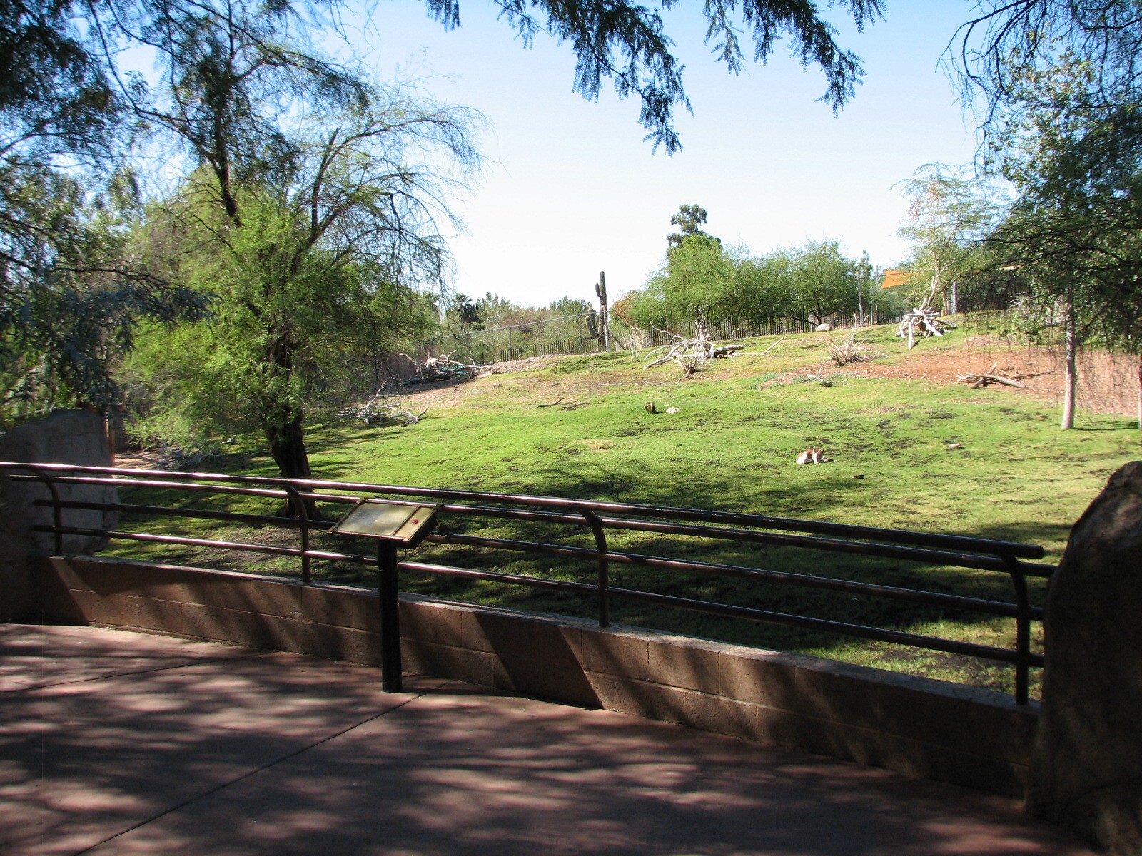 Africa Trail - Mhorr Gazelle, Kirks Dik-Dik, Kori Bustard, and Sulcata Tort
