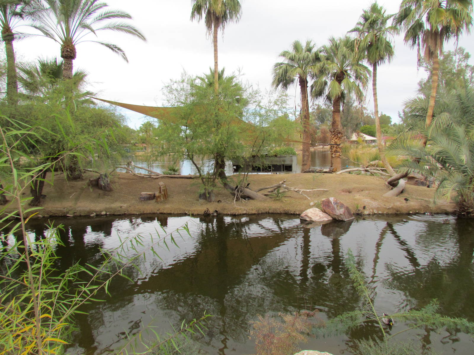 Africa Trail - Red Ruffed Lemur Exhibit