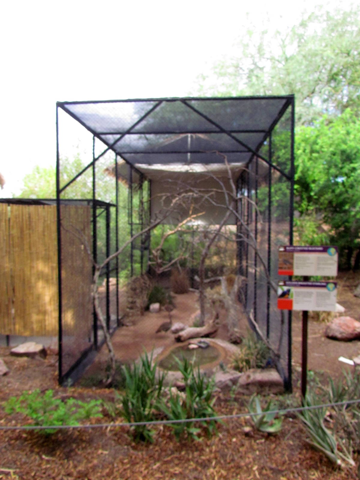 Africa Trail - Savanna Aviaries