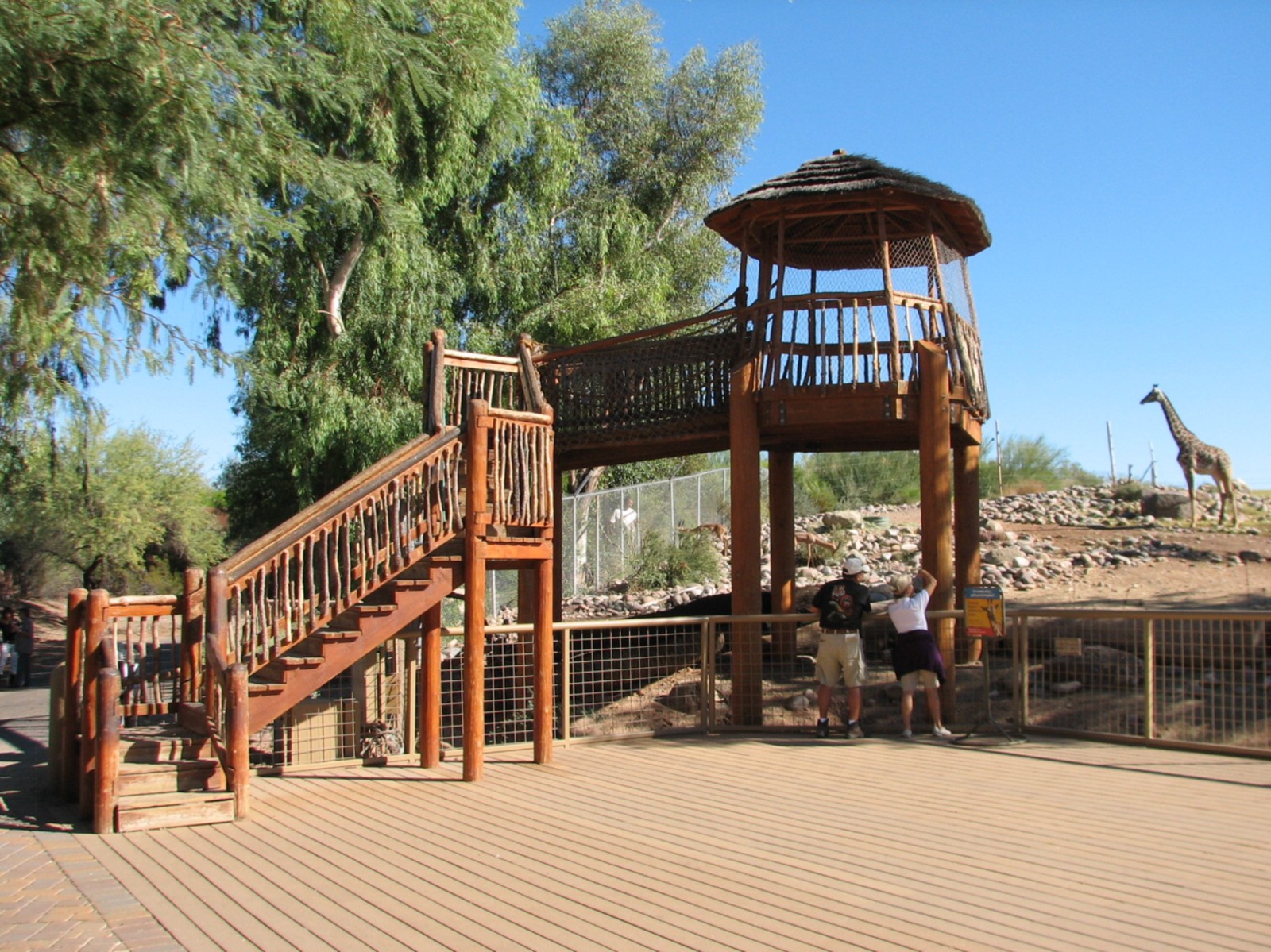 Africa Trail - Savanna Exhibit Viewing Area