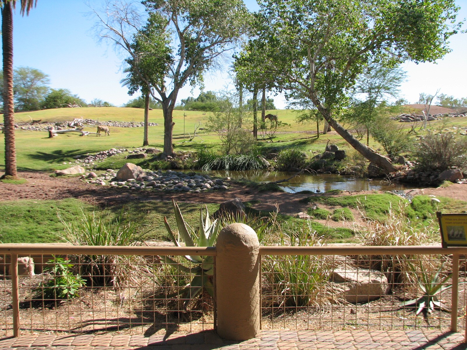 Africa Trail - Savanna Exhibit