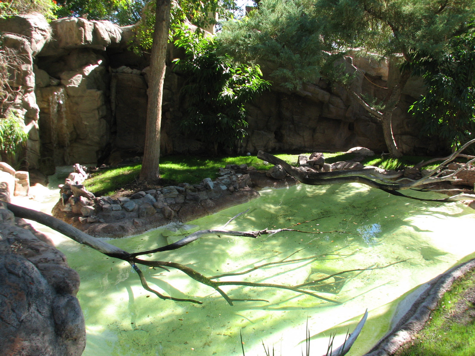 Africa Trail - Spotted-necked Otter Exhibit
