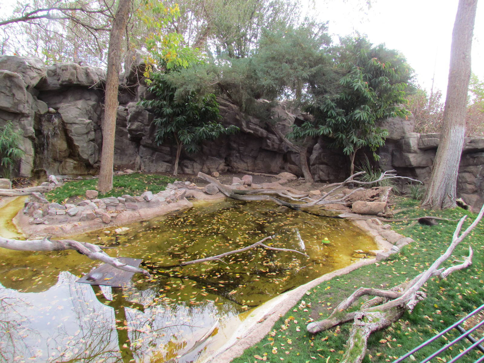 Africa Trail - Spotted-necked Otter Exhibit