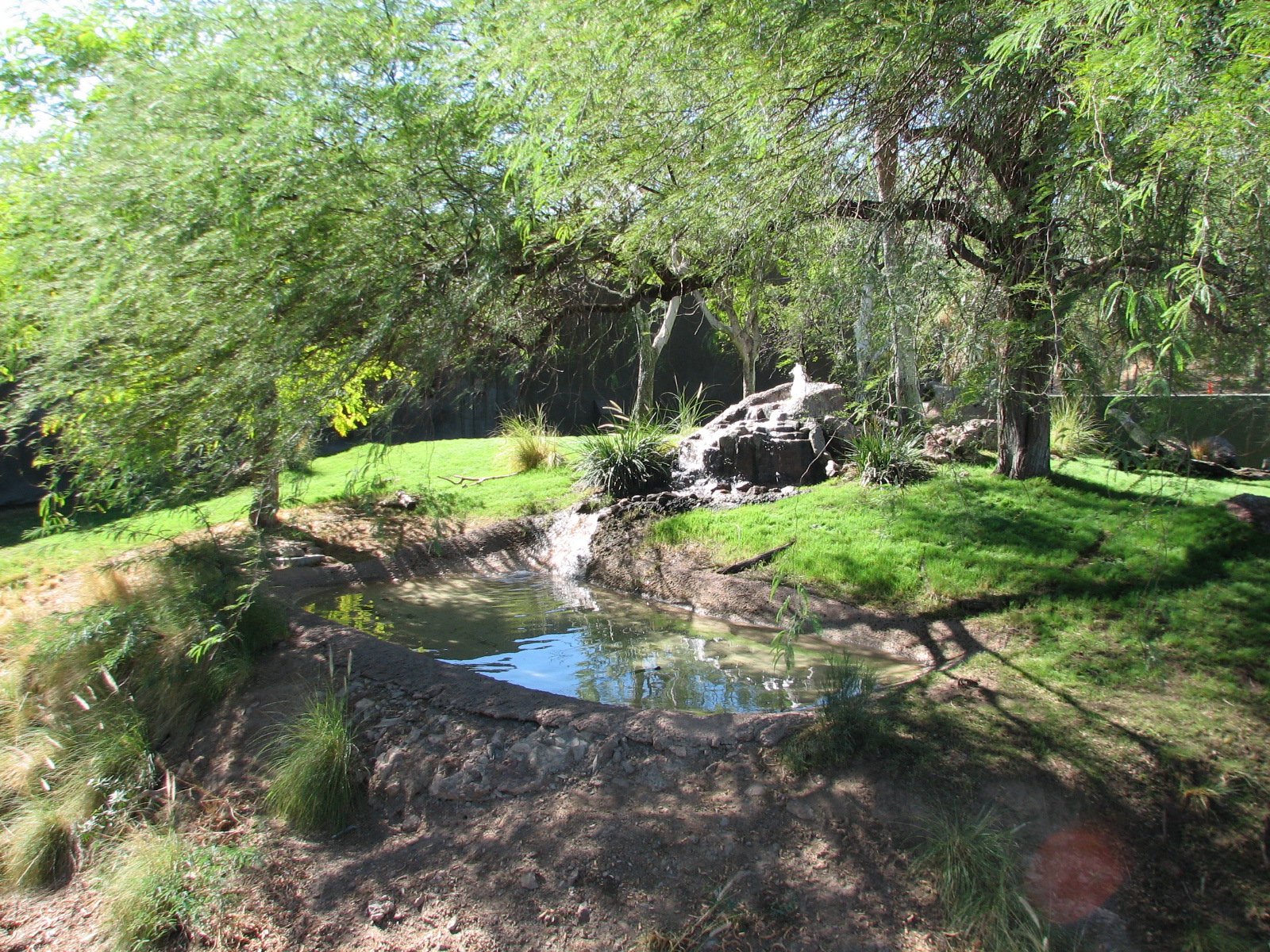 Africa Trail - Sumatran Tiger Exhibit
