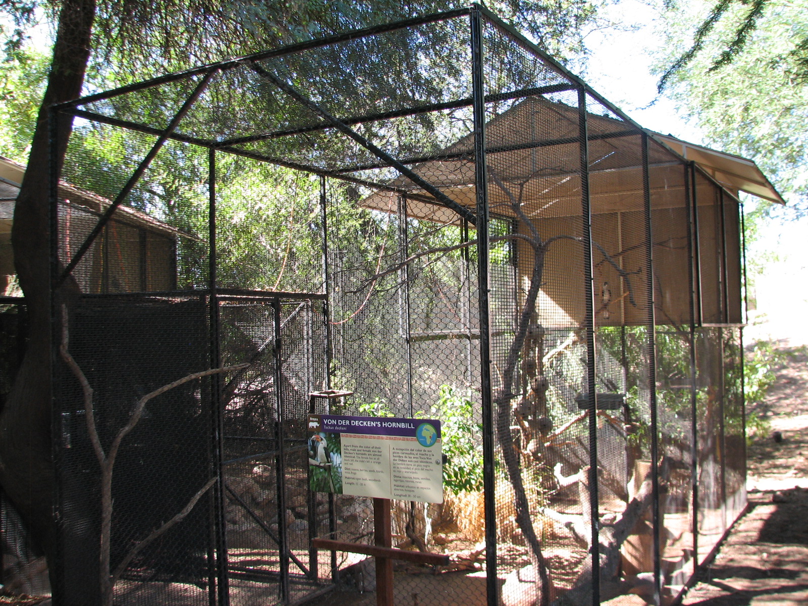 Africa Trail - Von der Deckens Hornbill Exhibit