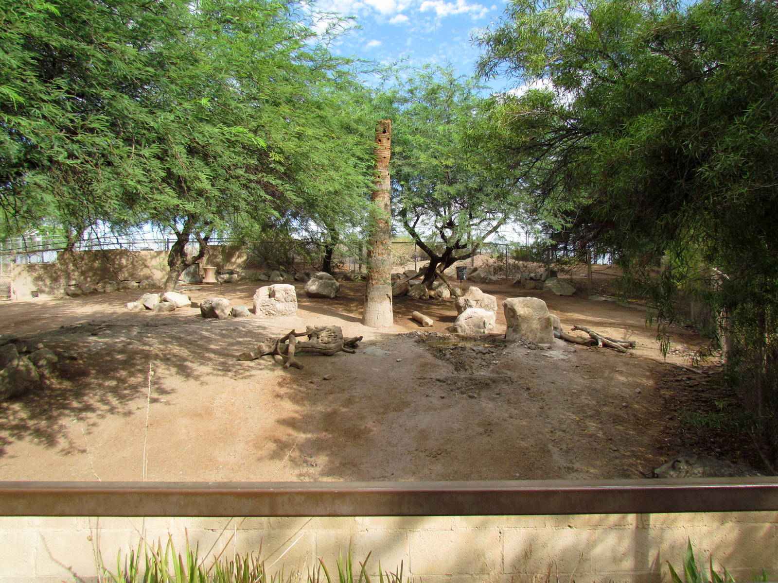 Africa Trail - Warthog Exhibit