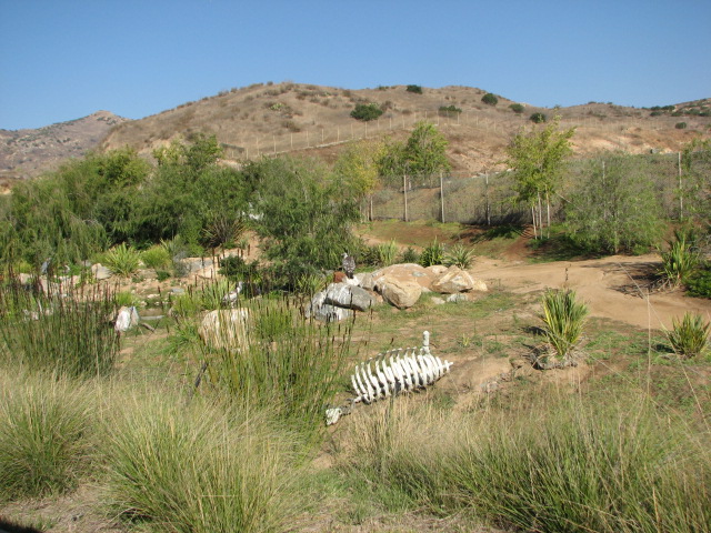 Africa Tram Safari - Bird Exhibit
