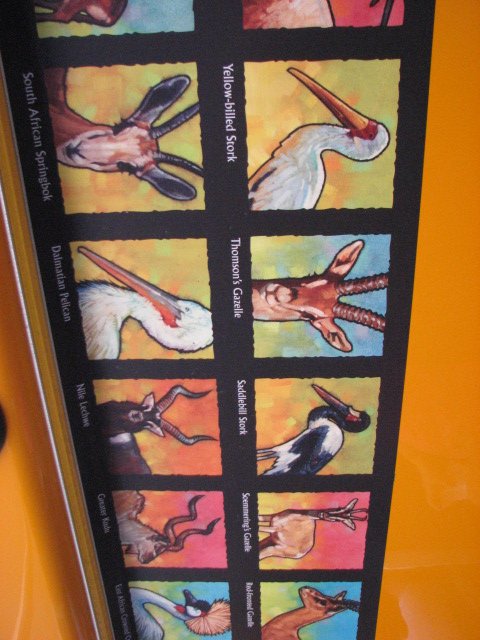 Africa Tram Safari Species Guide