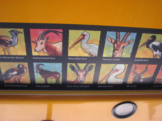 Africa Tram Safari - Species Guide